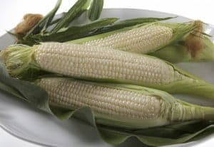 white corn 2