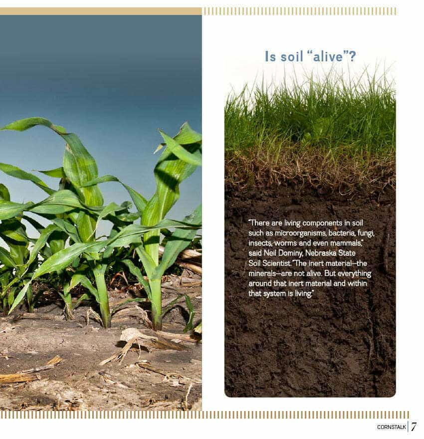 Soil Where the food chain begins Winter 2017 Biology Diagrams
