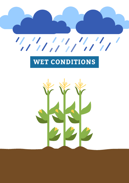 NCB_Genomes_CoreTraits_wet_01