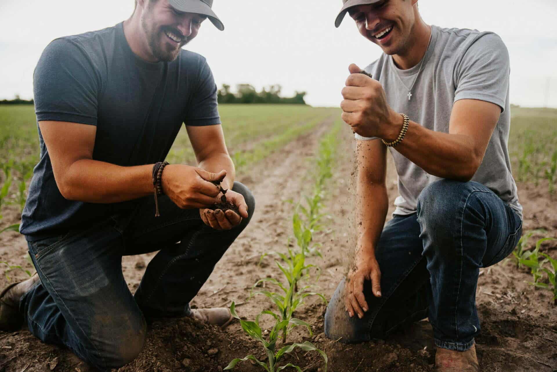 Two farmers kneel in a cornfield while they examine the soil.
