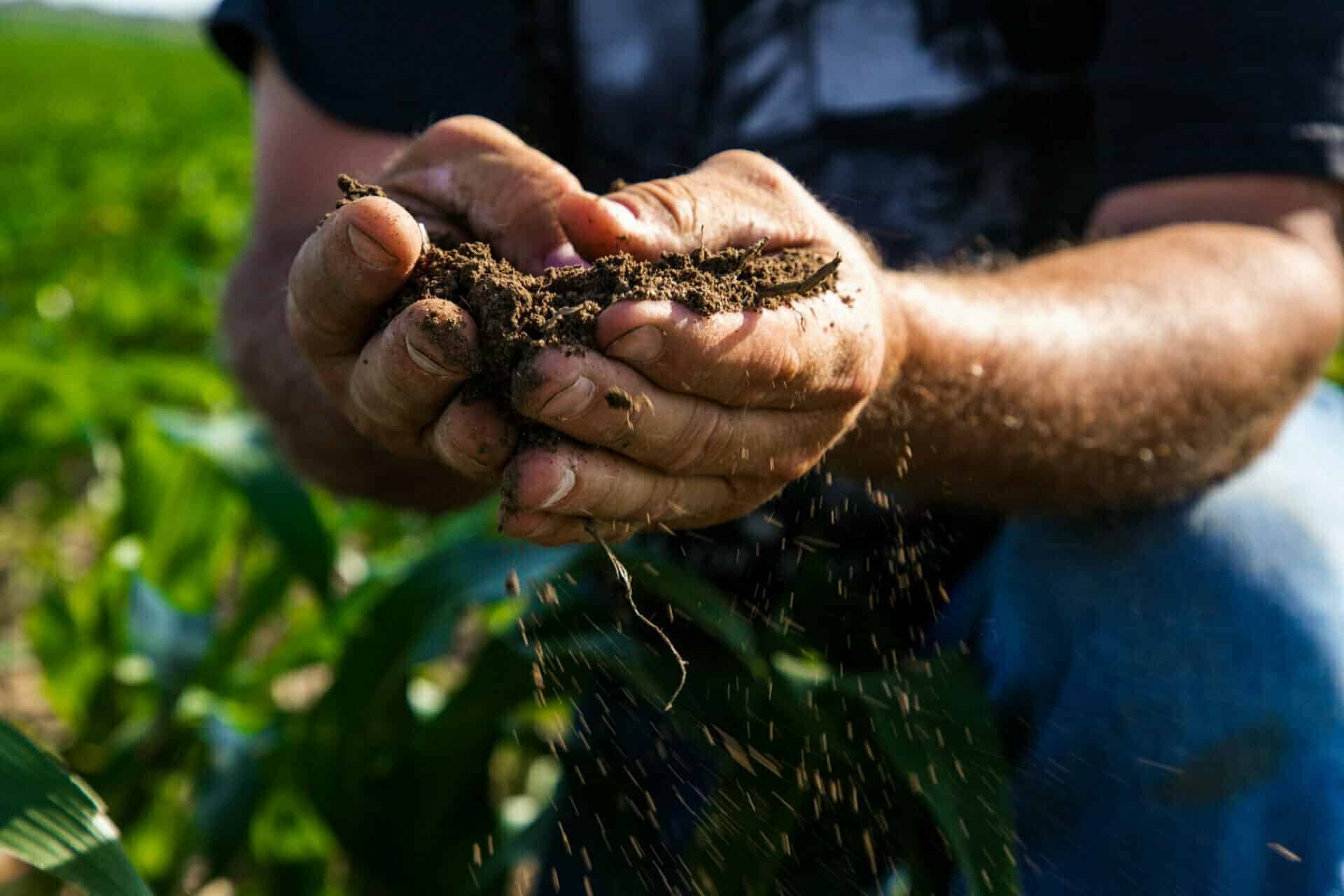 A farmer holds a handful of dirt.