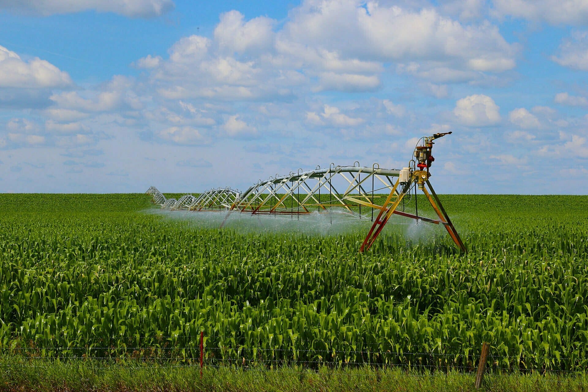 An irrigation system waters a cornfield during the summer.
