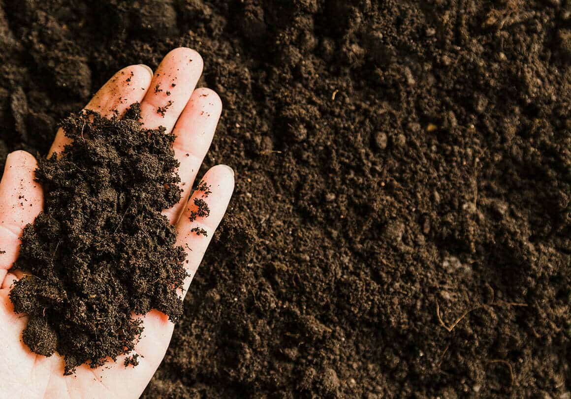 A person holds a handful of dirt.
