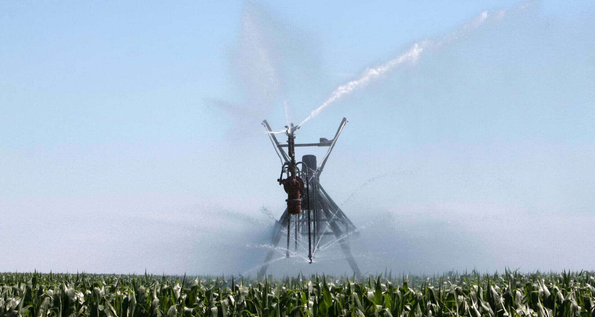 Water is applied to a cornfield via an irrigation system.