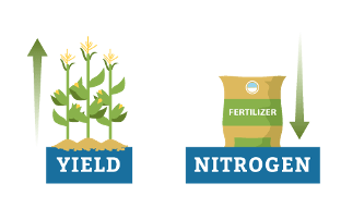 Increase Yield and Decrease Fertilizer
