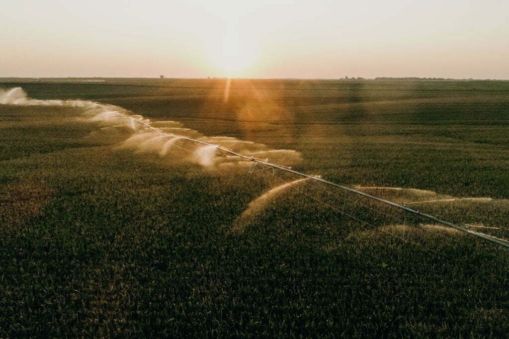 Corn field being watered by giant sprayers
