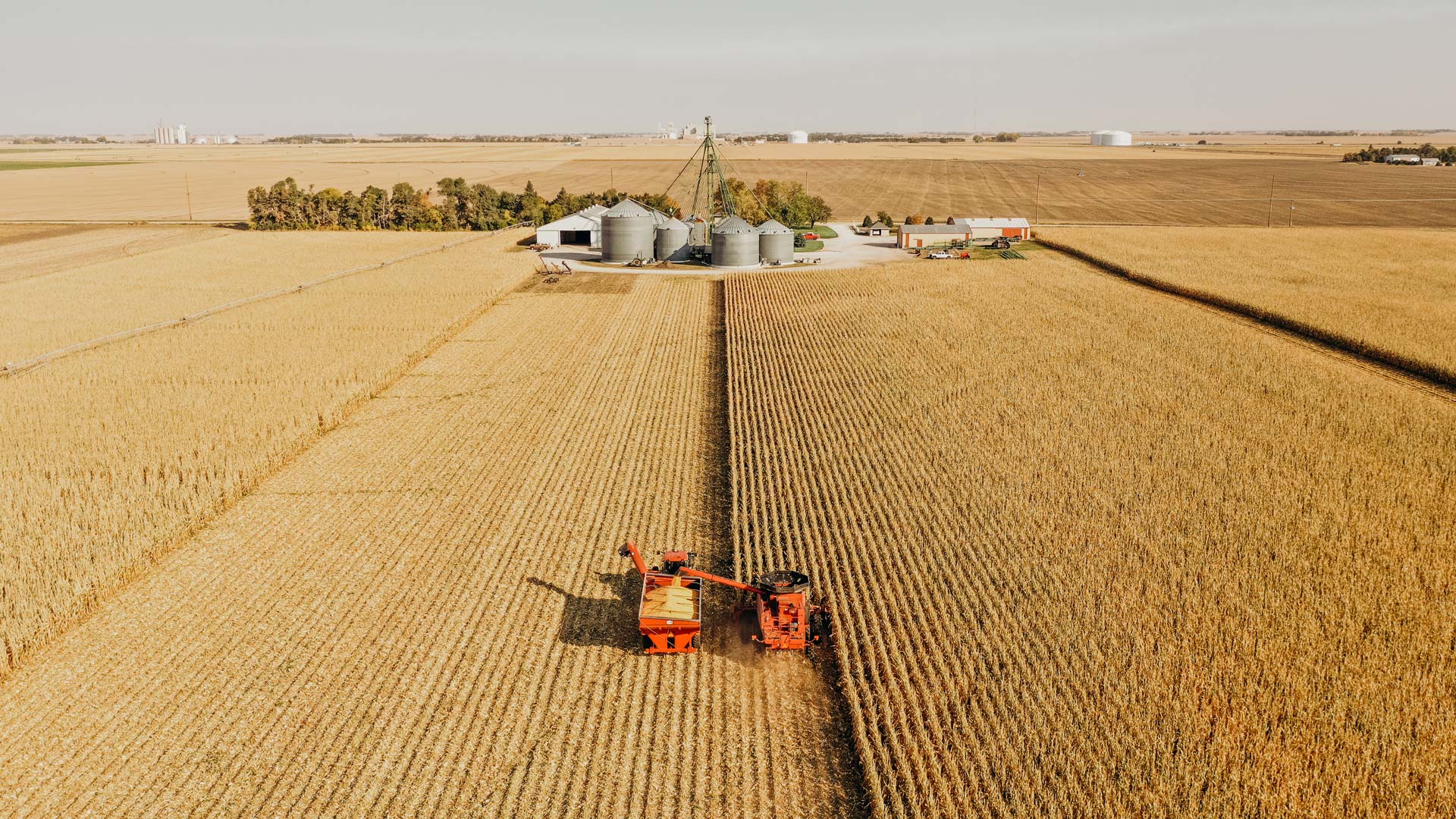 A combine harvesting corn in Nebraska.