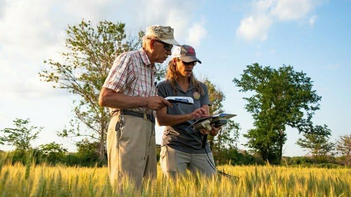 2 researchers in a wheat field going over data.