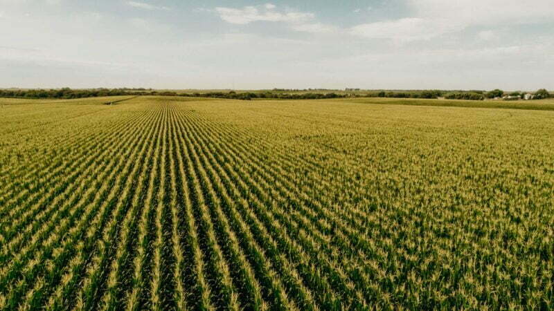 CornStalk Agriculture Publication | Nebraska Corn Board