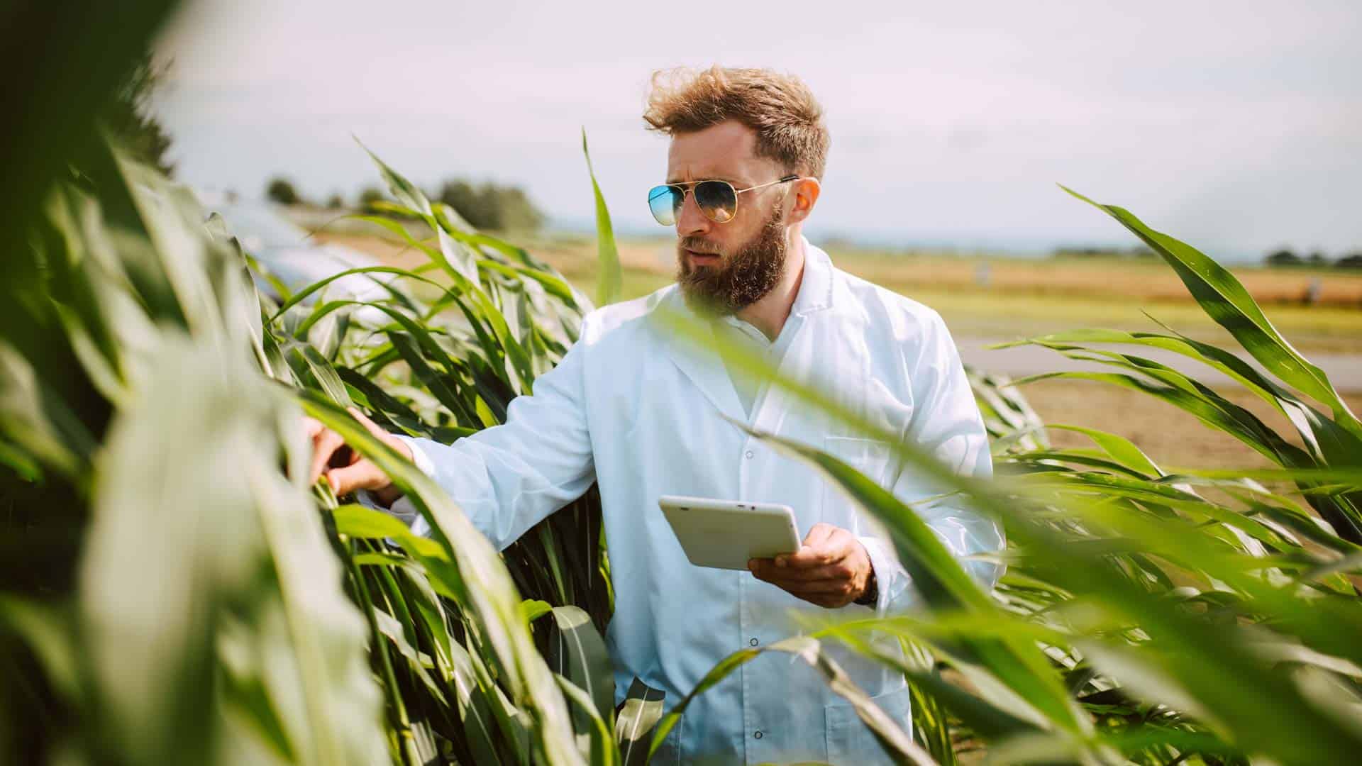 Water: The Lifeblood of Nebraska  Nebraska Corn Board