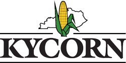 Kentucky Corn