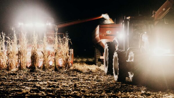 Field Corn vs. Sweet Corn | Nebraska Corn Board