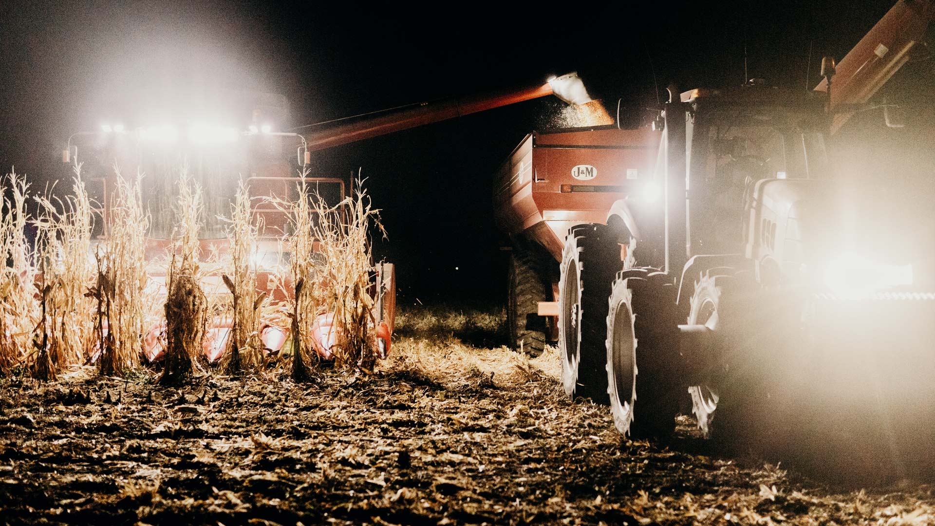 Combine harvesting corn at night