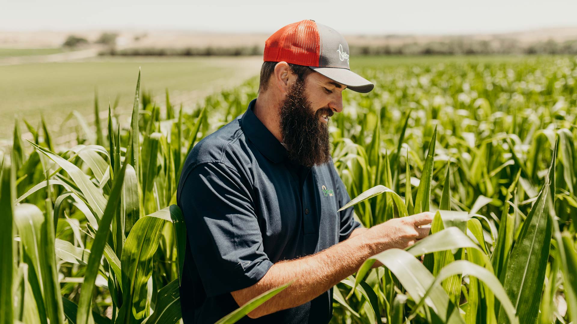 Farmer smiling in field of corn