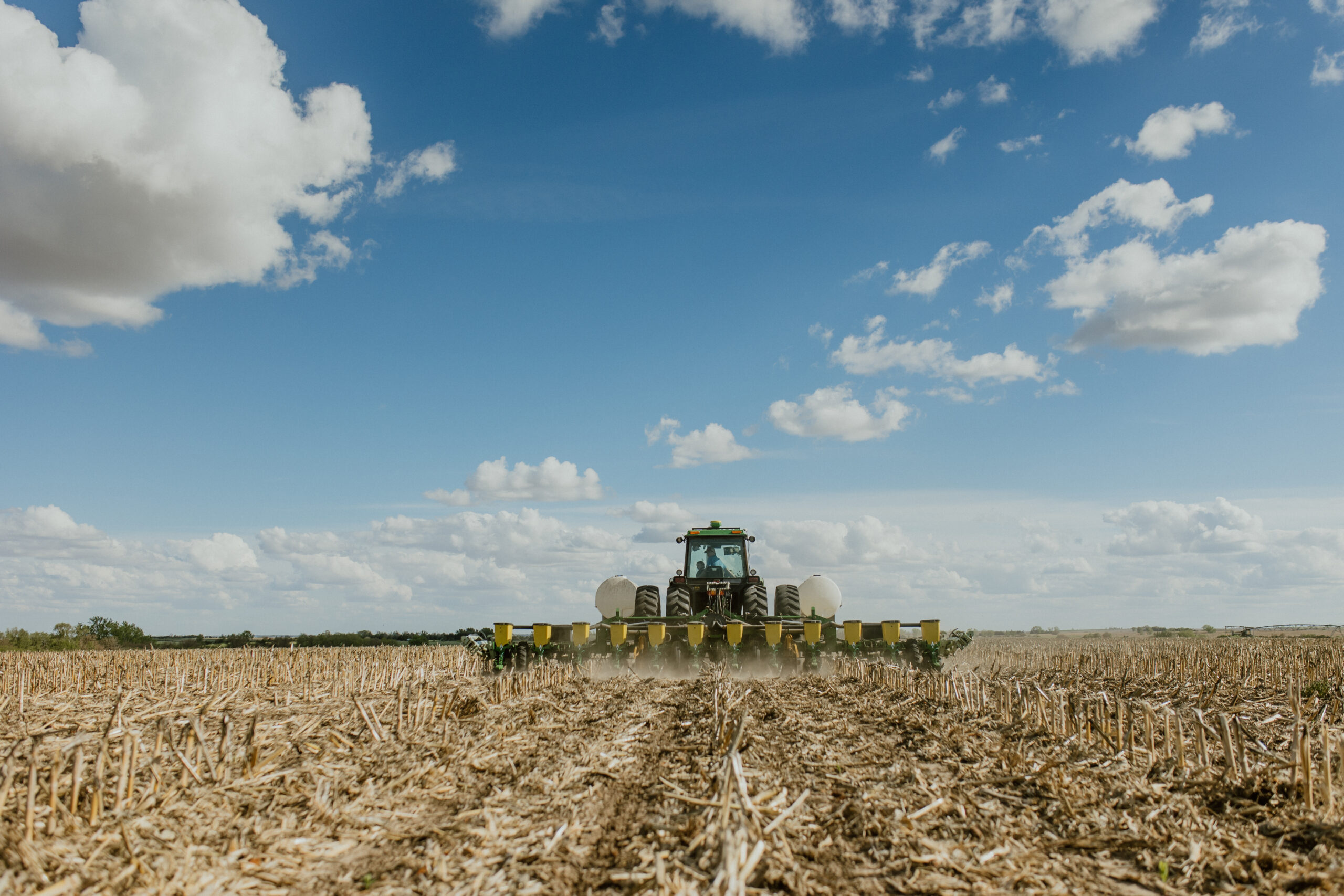 Combine in corn field