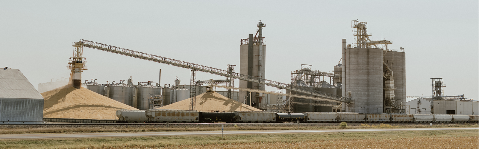 multiple grains bins with corn