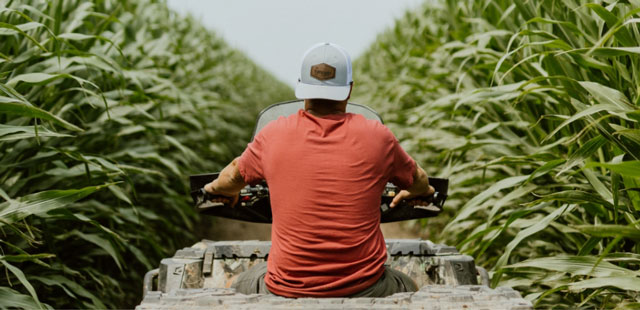 Farmer riding ATV through corn field
