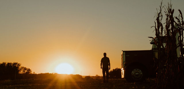Farmer silhouetted in sunset by corn field