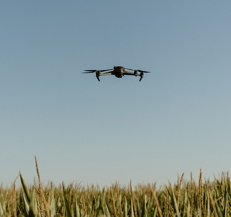 Drone Image Drone flying above the corn