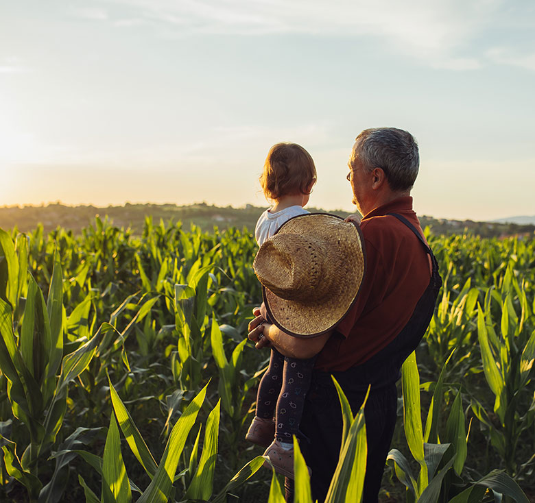 IANCF Image Farmer holding his grandchild looking out at all the corn