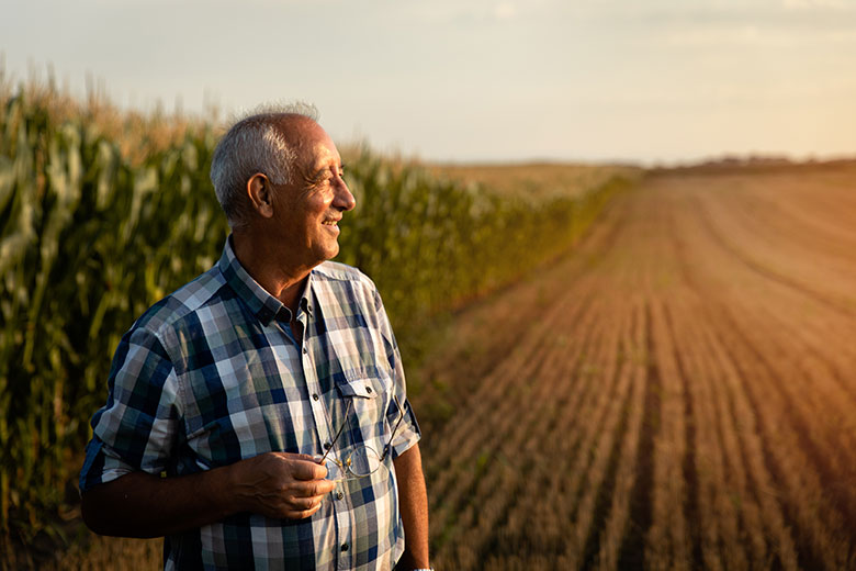 Farmer looking out over a field during sunset