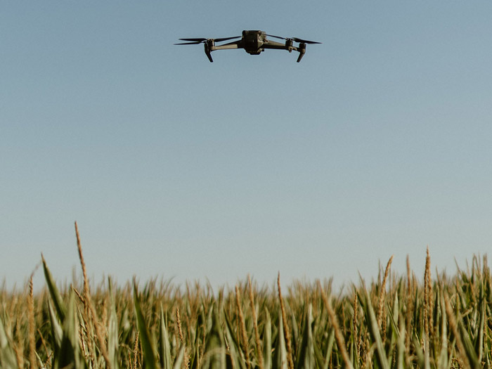 Drones-AUGUST-36-700×525 Drone flying over corn field