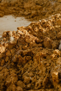 image of distillers grains