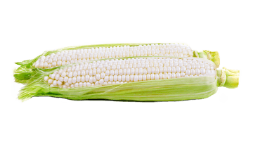 White corn