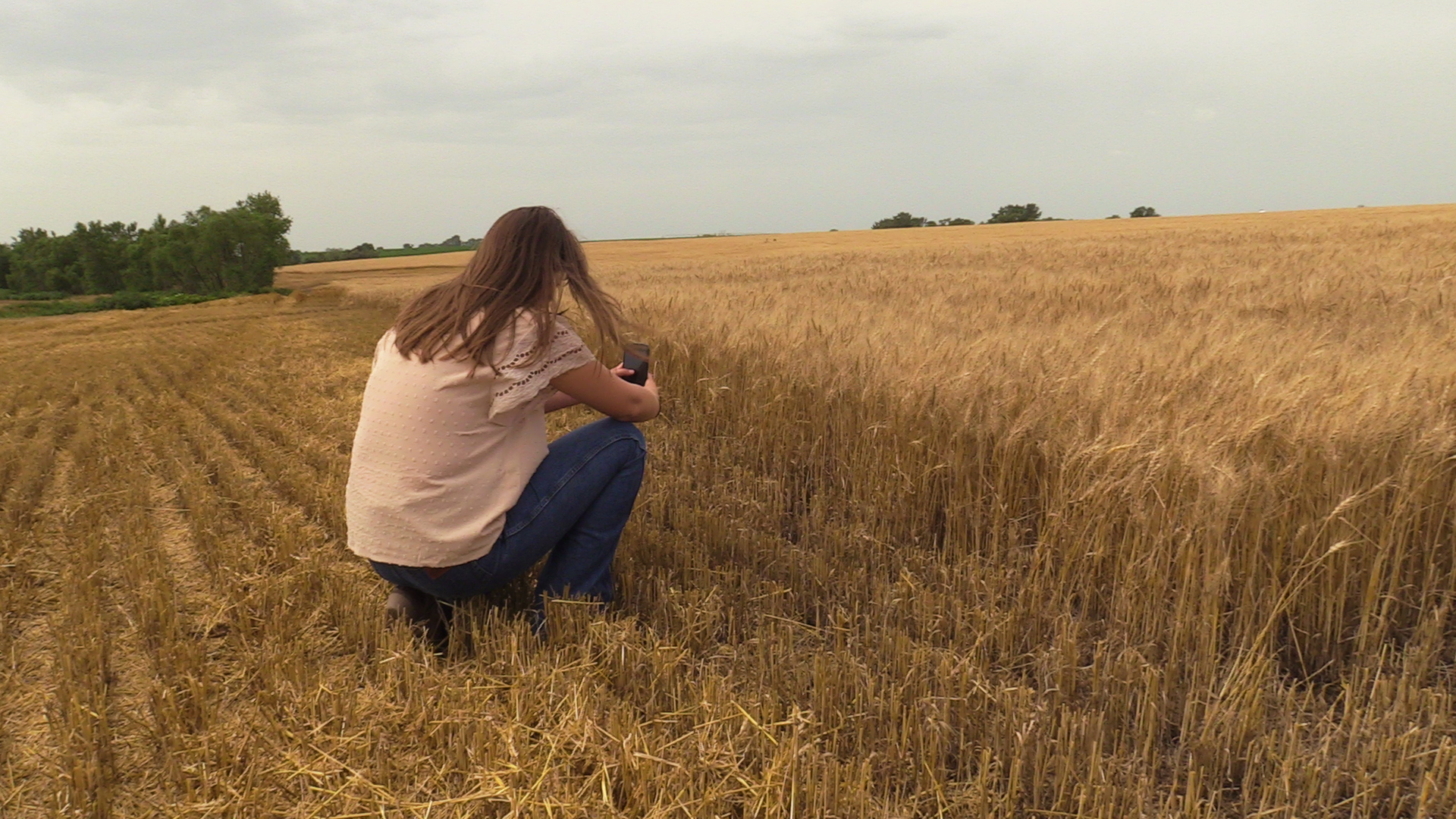 A woman crouches in a golden wheat field taking a picture with her phone.