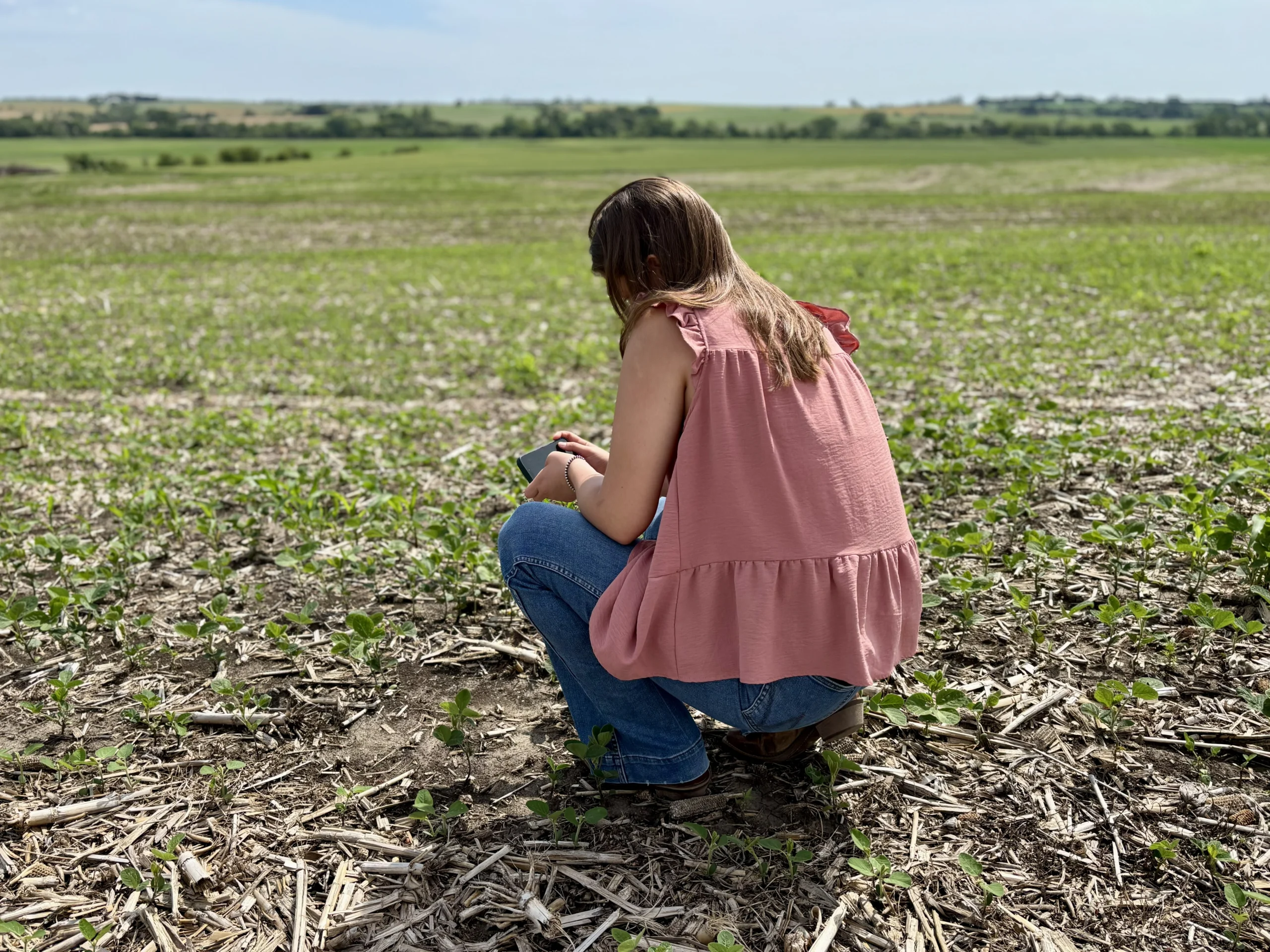 A woman crouches in an agricultural field while using her smartphone.