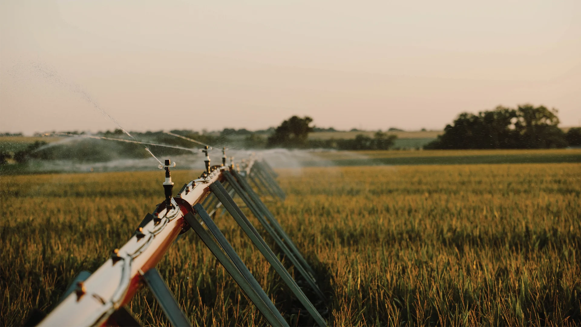 Farm research hero image - farm sprinklers