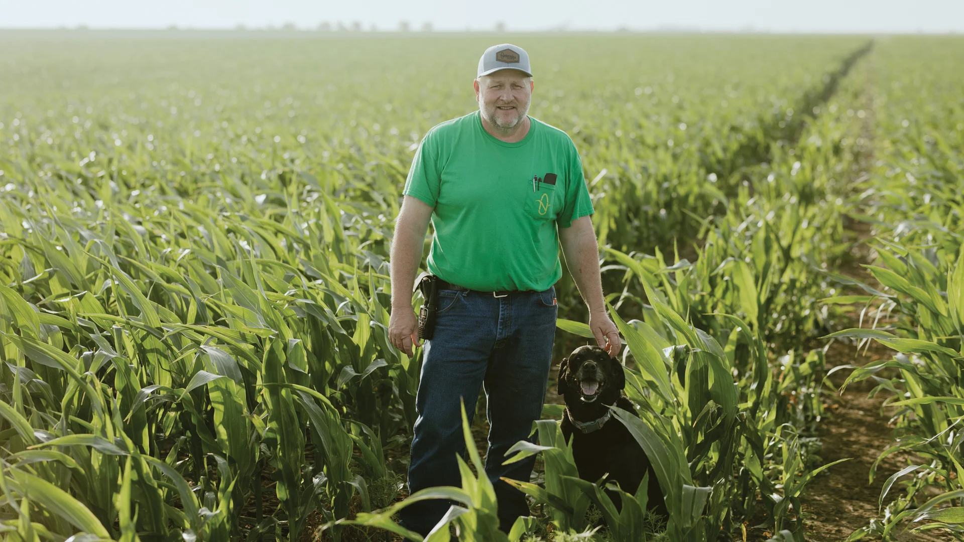 Man standing in knee-height corn field with a black dog