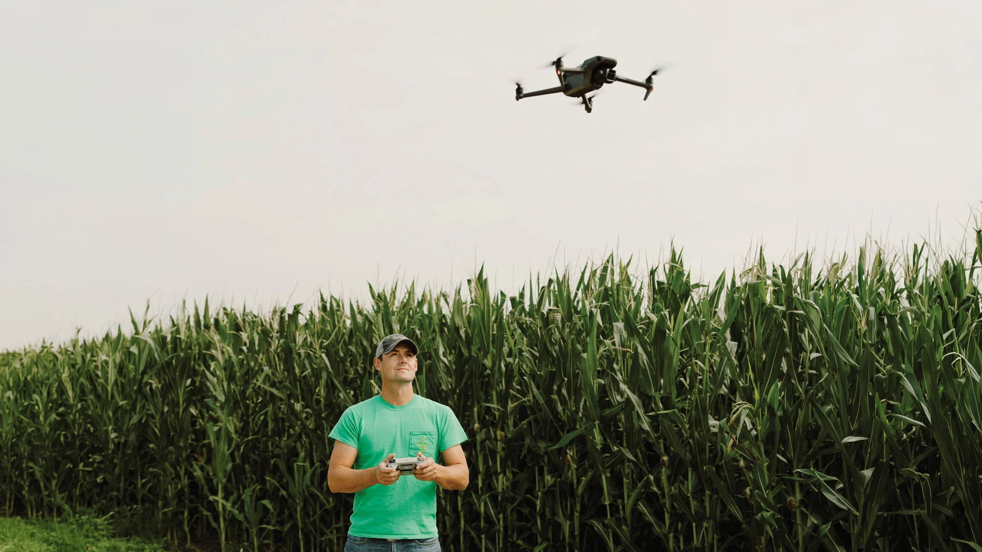 man in front of a cornfield flying a drone overhead