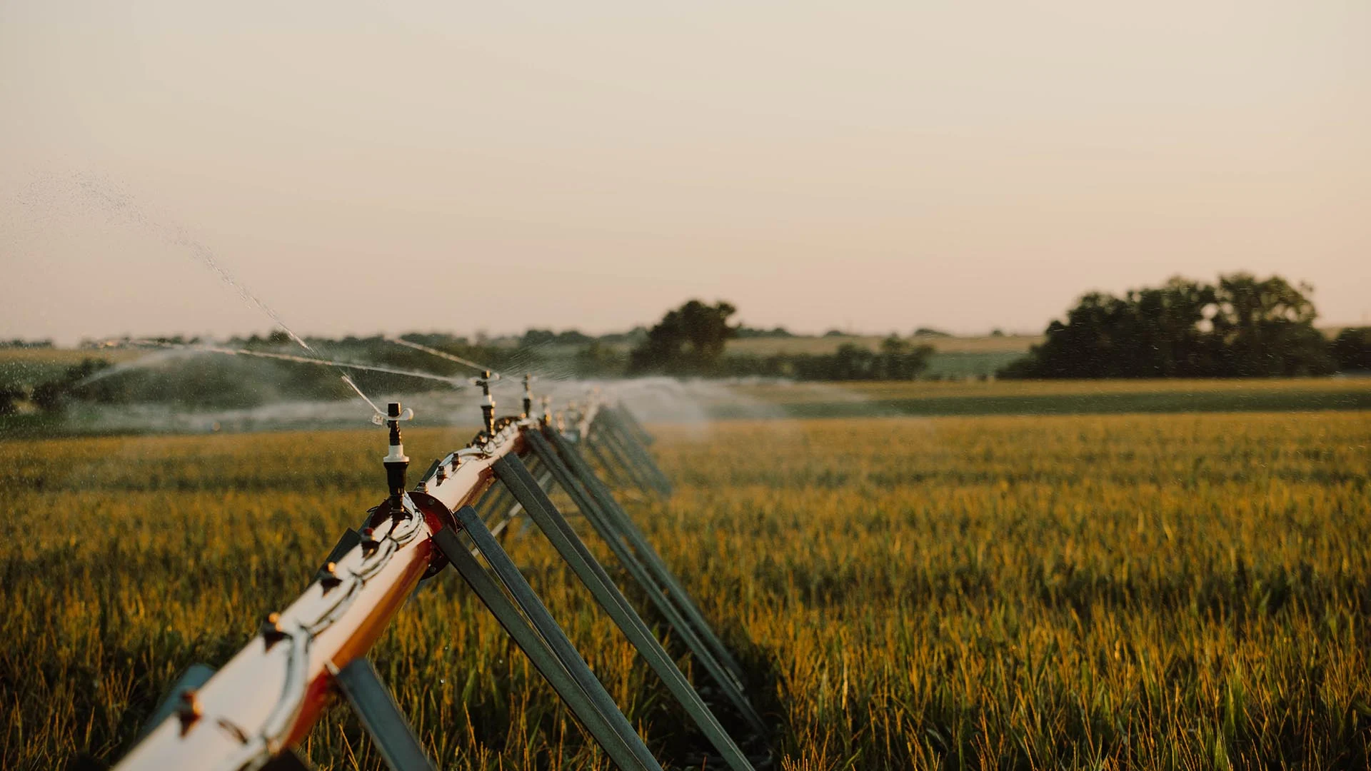 Irrigation system going in a corn field